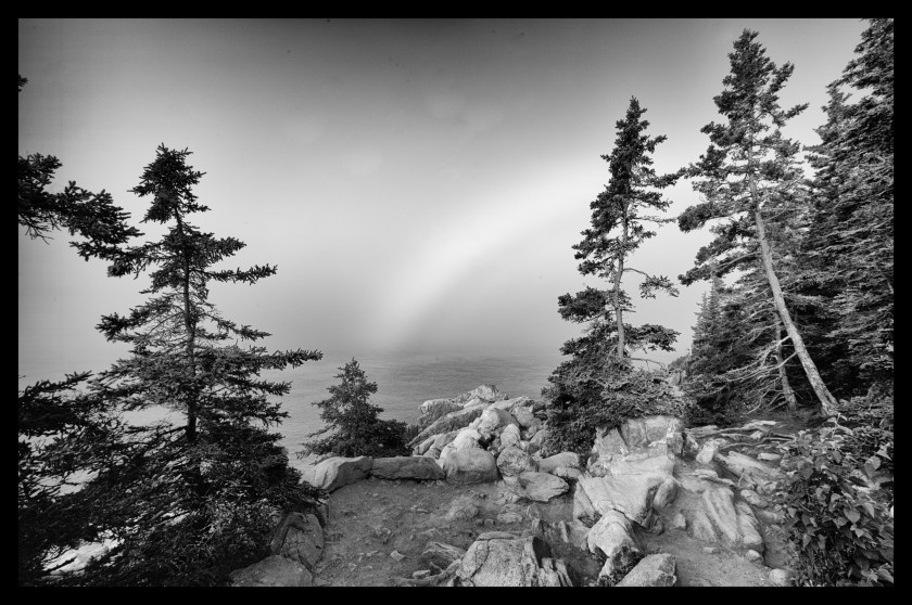 Bar Harbor B&amp;W 22598