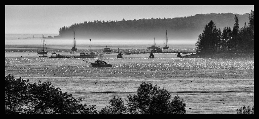 Bar Harbor B&amp;W 22603
