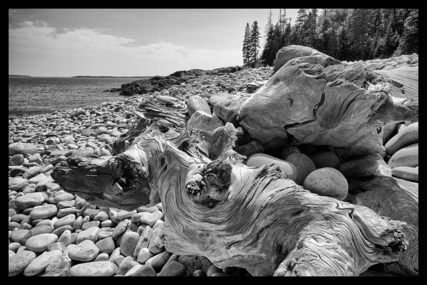 Bar Harbor B&amp;W 22604