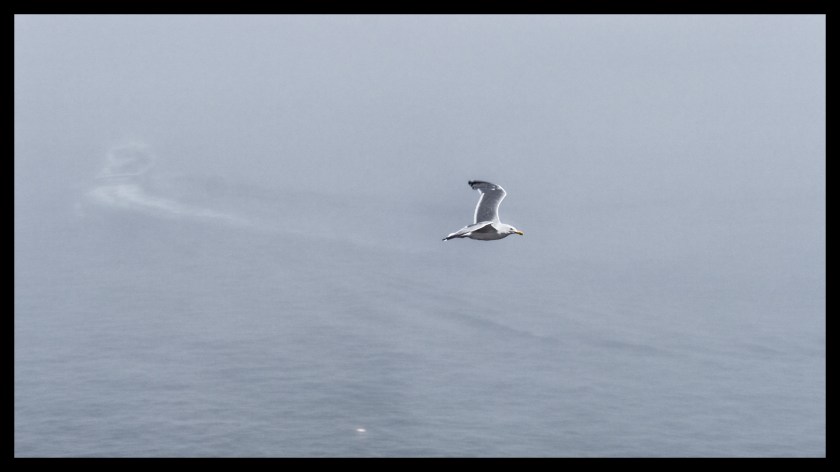 Bar Harbor day 2v2 22344