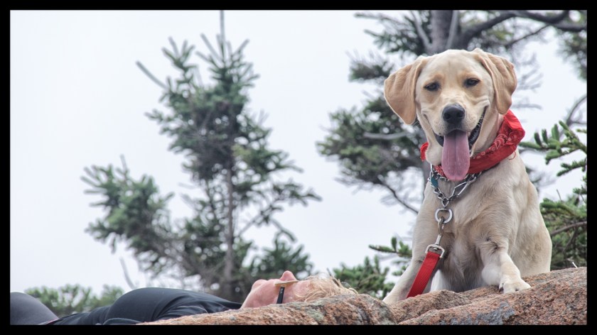 Bar Harbor day 2v2 22351