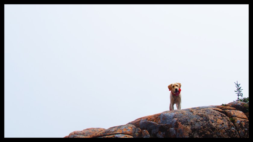 Bar Harbor day 2v2 22353