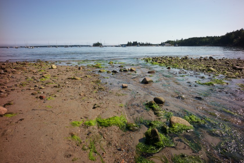 Bar Harbor day 2v2 22372