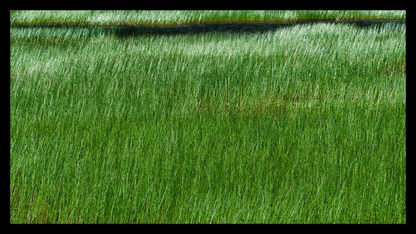 Bar Harbor day 3 21916