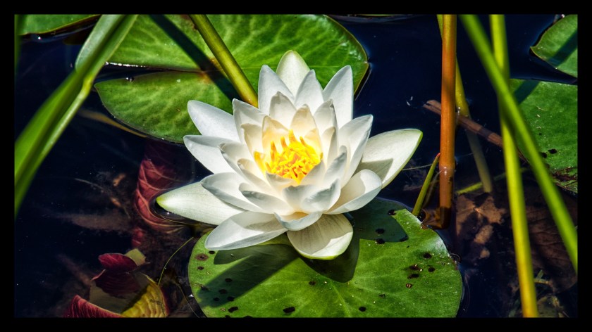 Bar Harbor day 3 21923