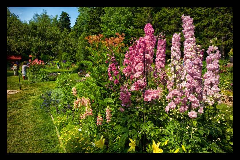 Bar Harbor day 3 22247