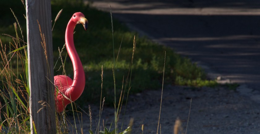 Bar harbor day 4 v2 22628