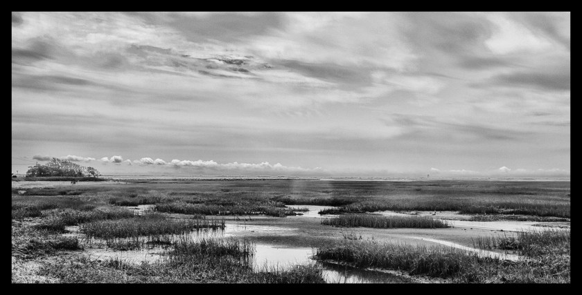 Bike Ride thru the Dunes 21284