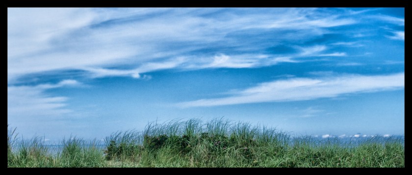 Bike Ride thru the Dunes 21287