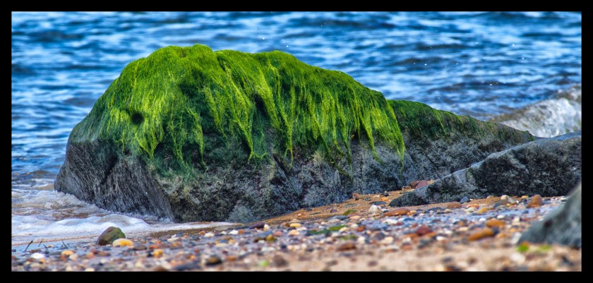 Bike Ride thru the Dunes 21292