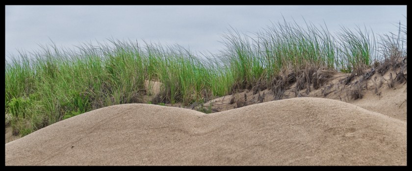 Bike Ride thru the Dunes 21306