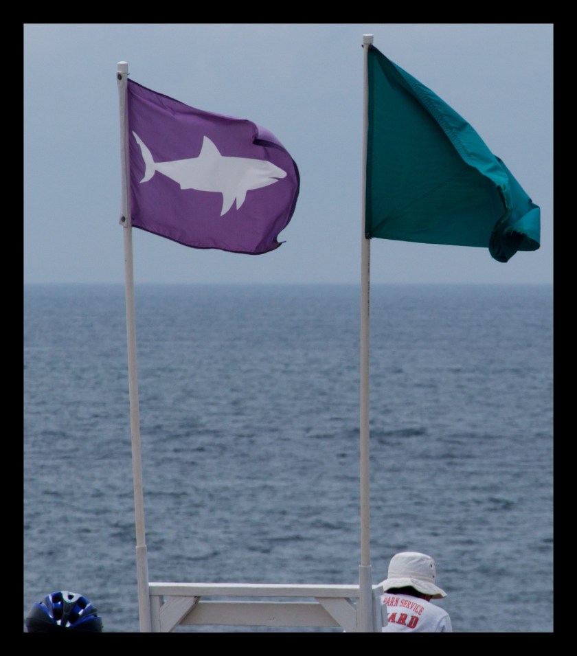 Bike Ride thru the Dunes 21310