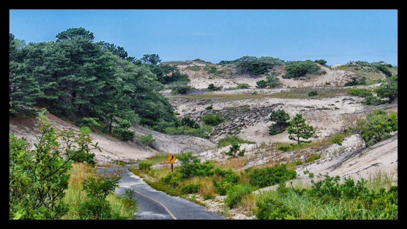 Bike Ride thru the Dunes 21323
