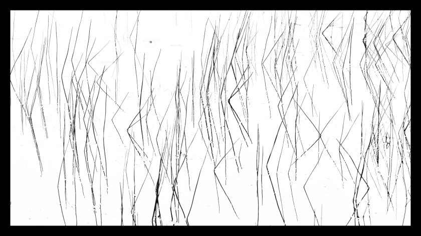 Bike Ride thru the Dunes 21326