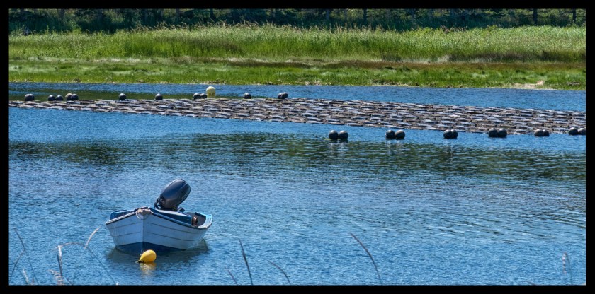 Cavendish PEI day 2 25391