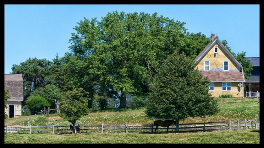 Cavendish PEI day 2 25403