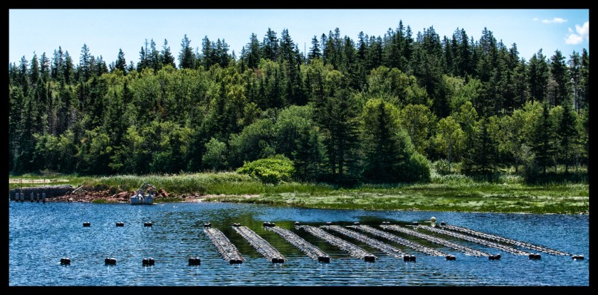 Cavendish PEI day 2 25411
