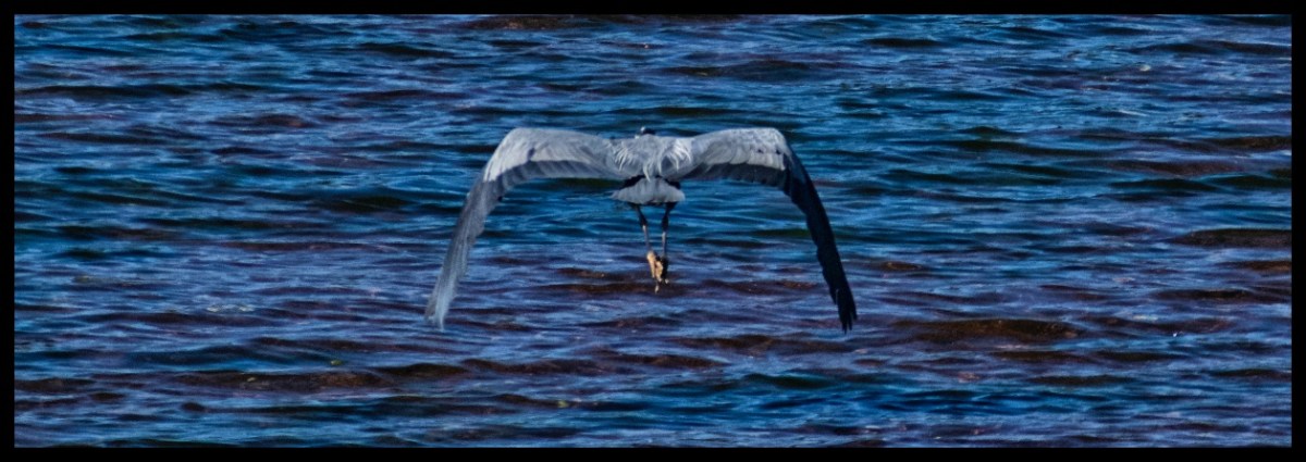 Good Sunday for a bike ride&nbsp;.