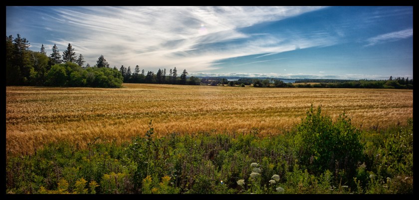 Cavendish PEI day 25096
