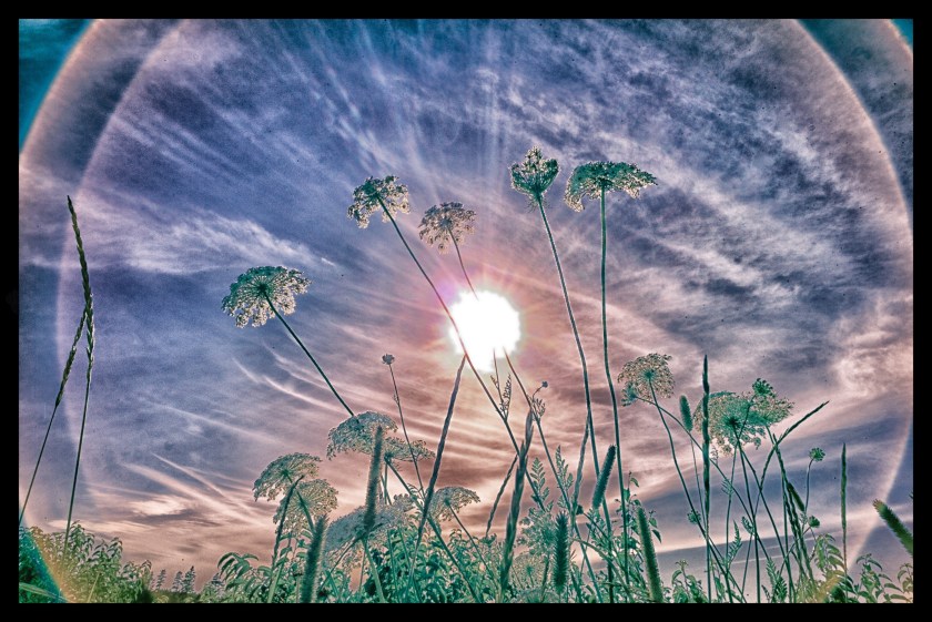 Cavendish PEI day 25126