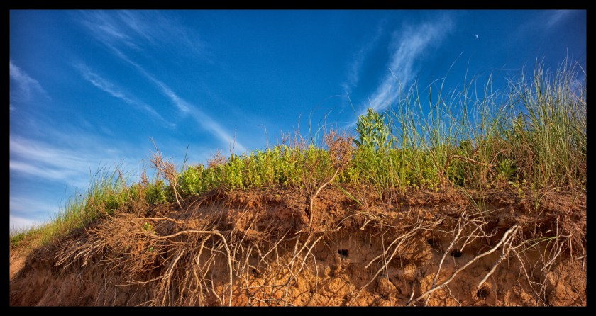 Cavendish PEI day 25133