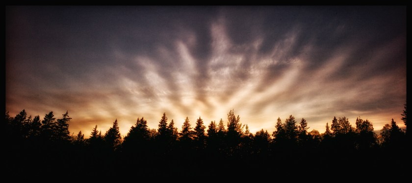 Cavendish PEI day 25251