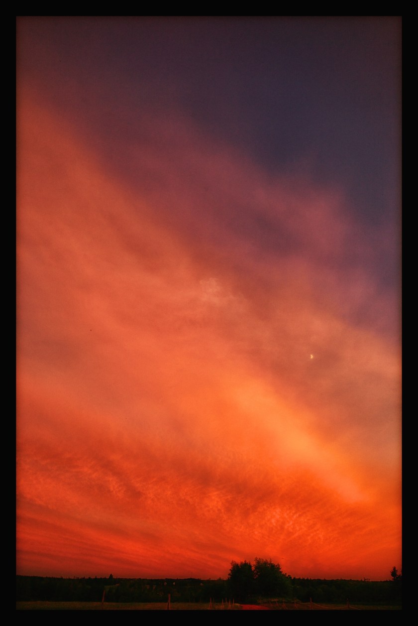 Cavendish PEI day 25258