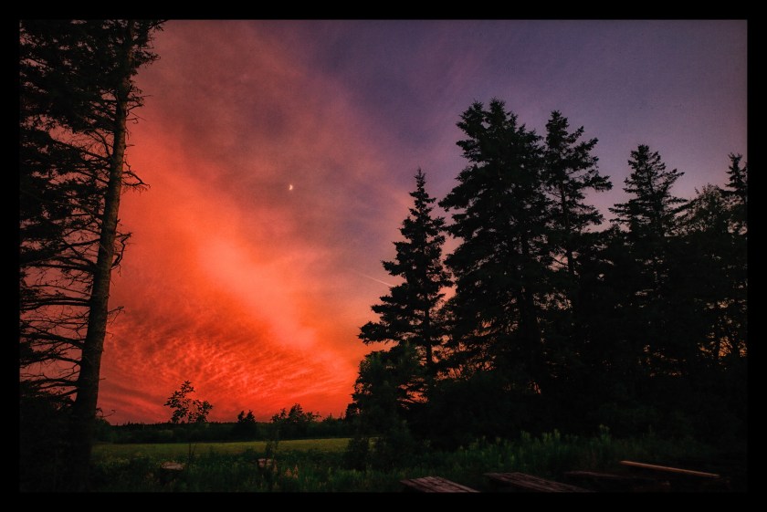 Cavendish PEI day 25259