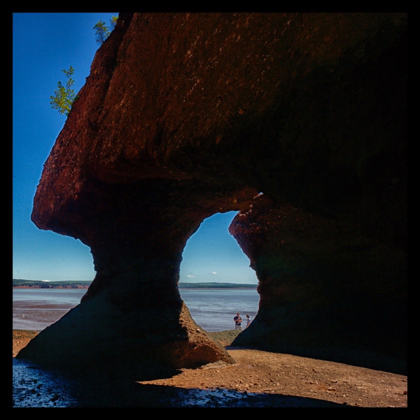 Hopewell Rocks 24390