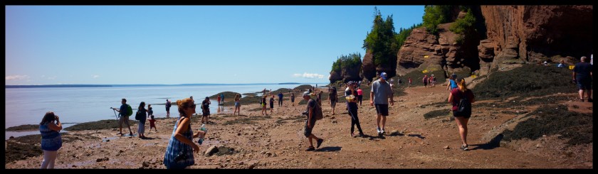 Hopewell Rocks 24395