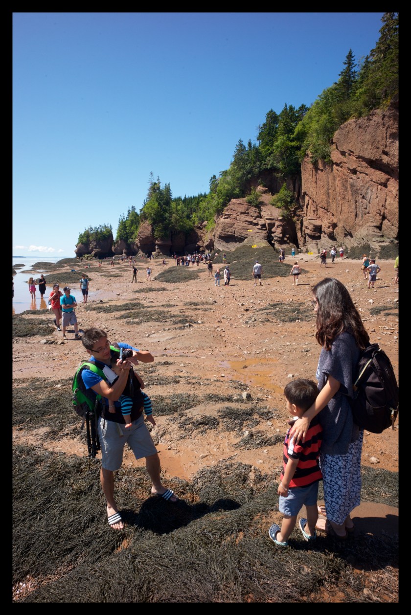 Hopewell Rocks 24400