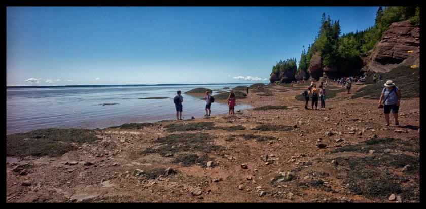 Hopewell Rocks 24401
