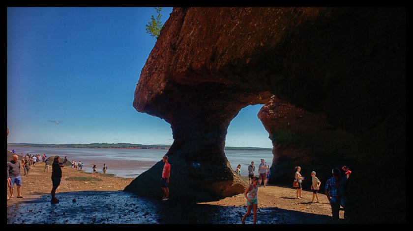 Hopewell Rocks 24419