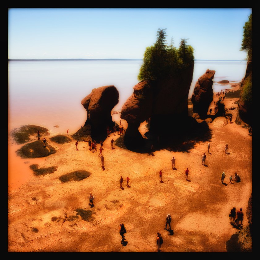 Hopewell Rocks 24422