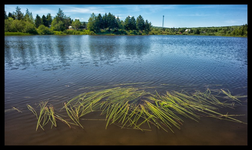Hopewell Rocks 24430