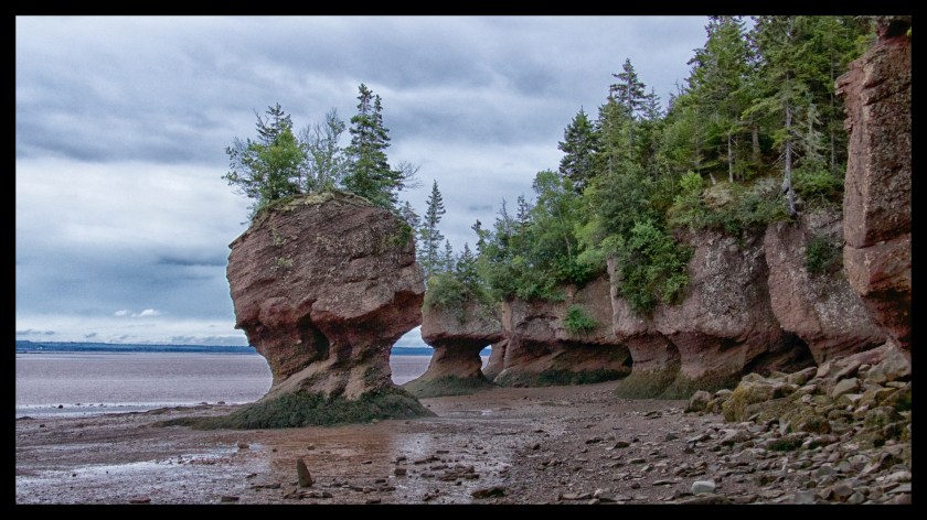 Hopewell Rocks Day 1 24043