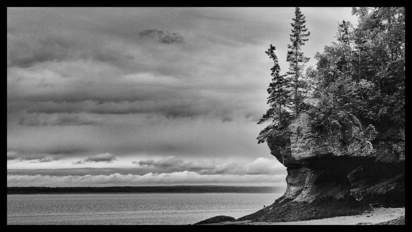 Hopewell Rocks Day 1 24046