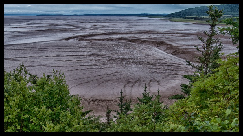 Hopewell Rocks Day 1 24048