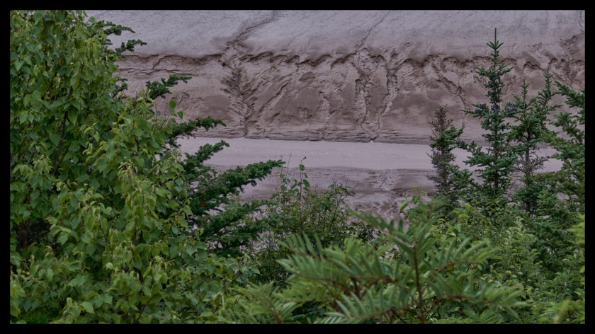 Hopewell Rocks Day 1 24049