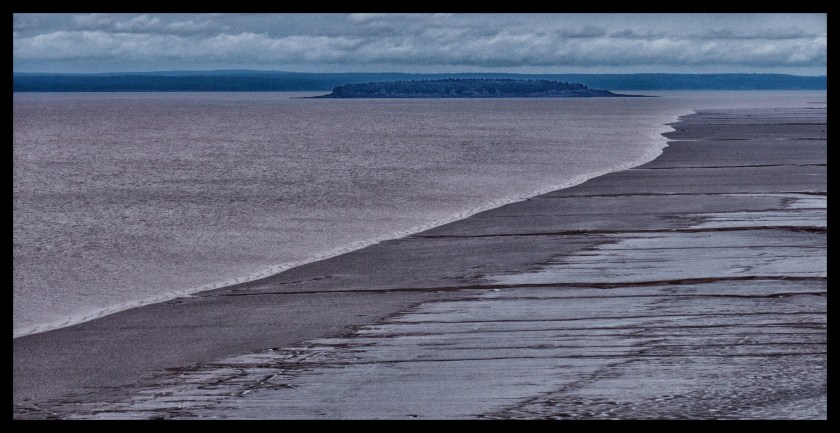 Hopewell Rocks Day 1 24050