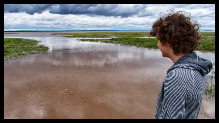 Hopewell Rocks Day 1 24052