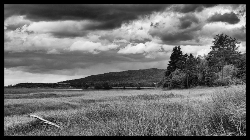 Hopewell Rocks Day 1 24053