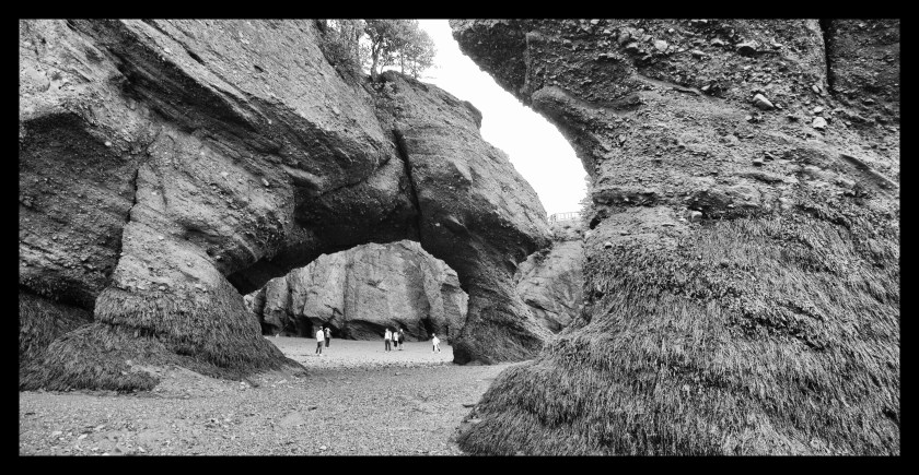 Hopewell Rocks Day 1 24059