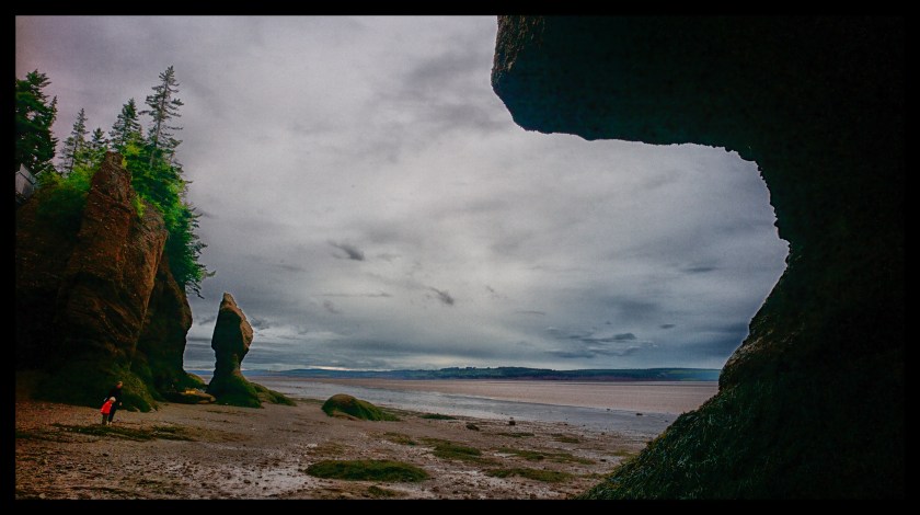Hopewell Rocks Day 1 24061