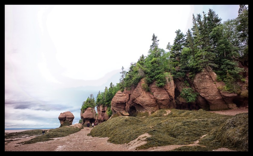 Hopewell Rocks Day 1 24063