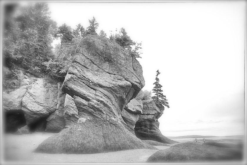 Hopewell Rocks Day 1 24065
