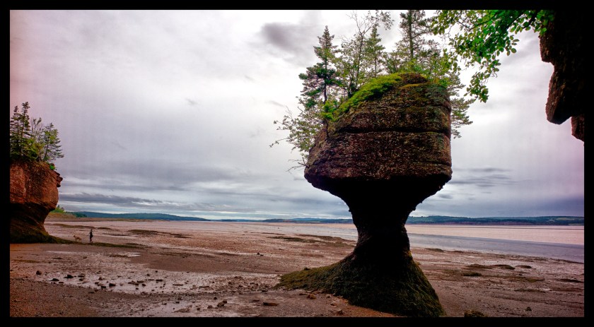 Hopewell Rocks Day 1 24070