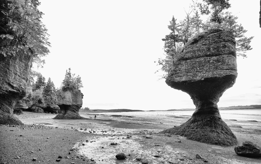 Hopewell Rocks Day 1 24071