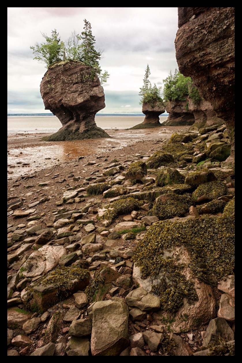 Hopewell Rocks Day 1 24073