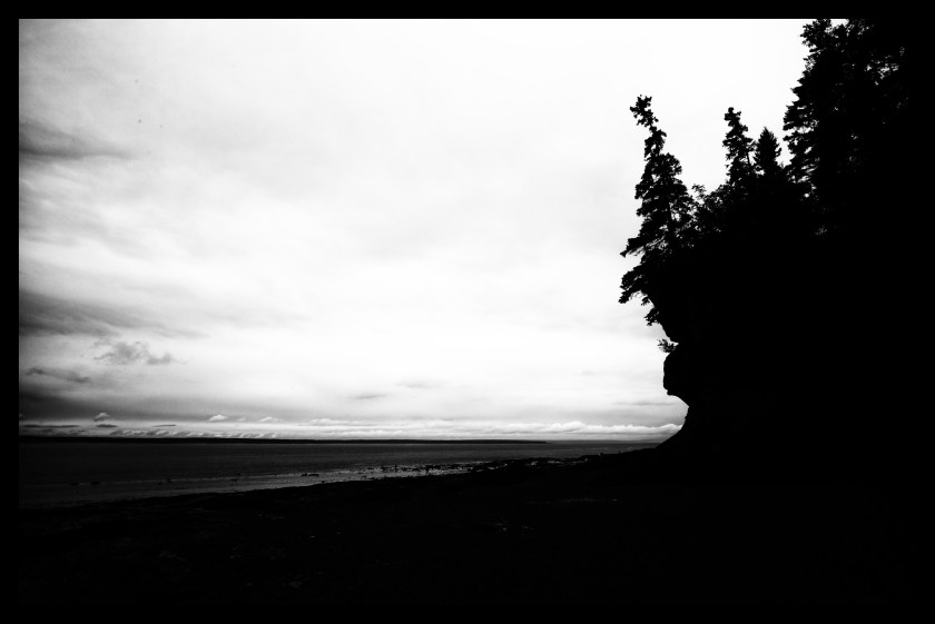 Hopewell Rocks Day 1 24077